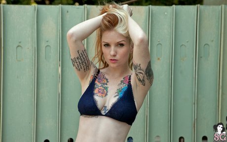 Kemper SG meilleure étoile images