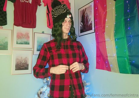 topinaciri étoile galeries