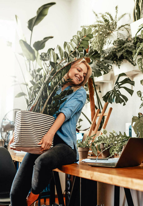 more than palnts belle étoile photos