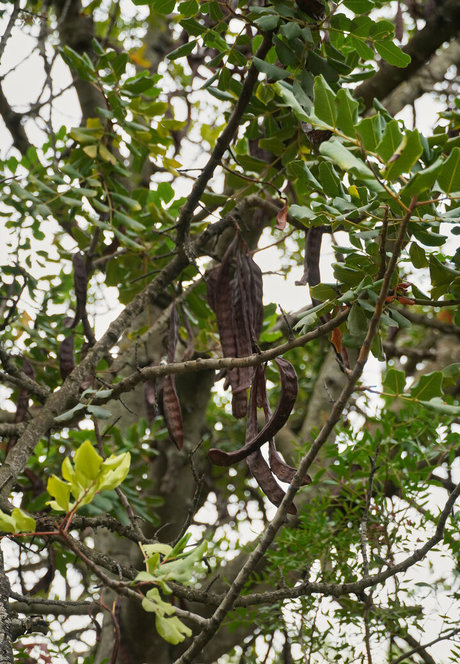 more than palnts modèle porno galeries