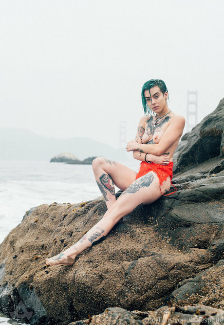 Little Spittle nus star du porno collection