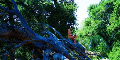 Kate Baum modèle de haute qualité photo