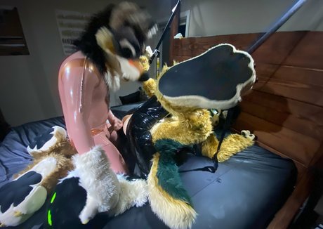 amateurs japonais uniquementfans belle exclusivité image