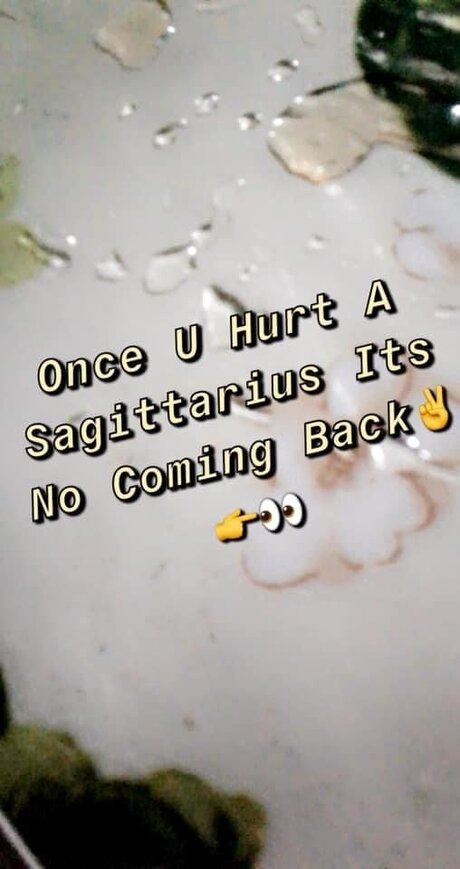 Quez haut de star du porno archive