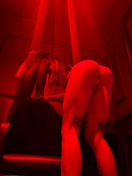 _amiri_ belle star du porno galerie