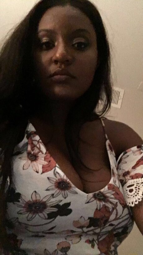 eveofjuly meilleure étoile collection