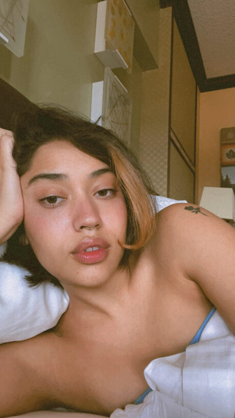 humperxhumper nus de stars du porno collection