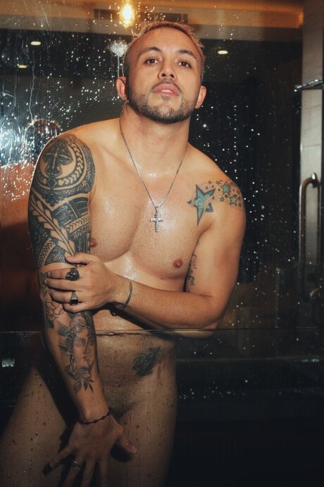 Ricardo Rodriguez art star du porno collection