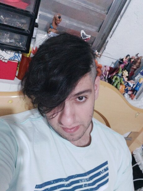 Raphacanada art étoile des photos