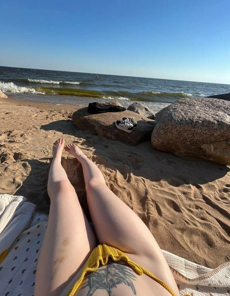 Aorta modèle adulte galeries