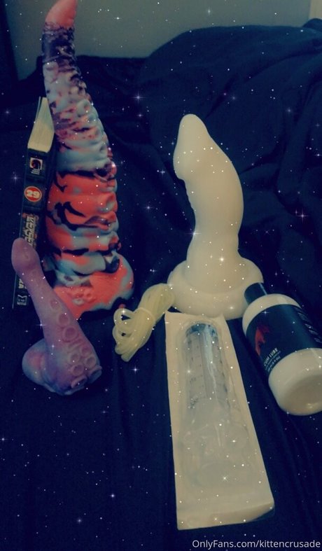 _elaine arbor haut modèle galerie