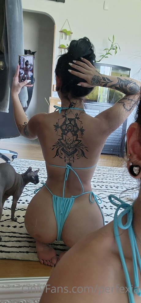 Perfexia haut étoile galeries