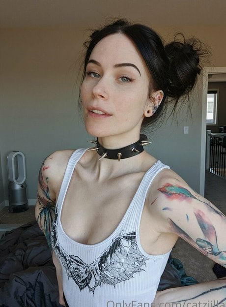 fans navajos uniquement bel art collection