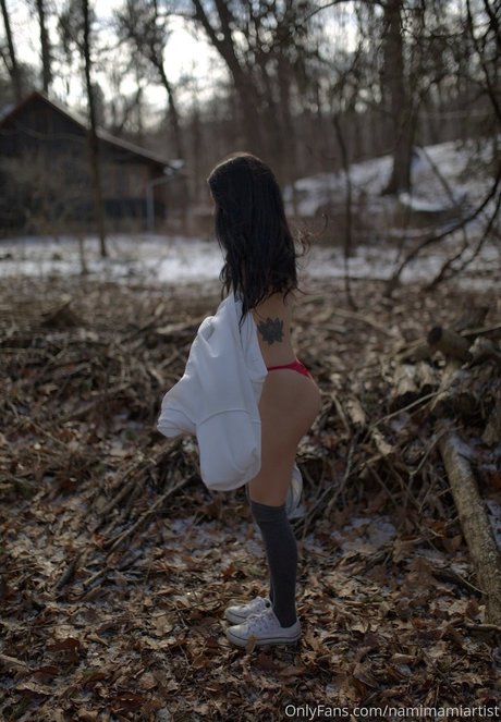 Nami Mami Lune star pornographique photo