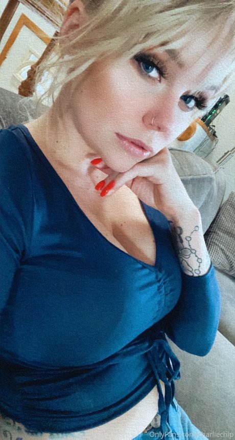 Charlie Chip étoile hd image