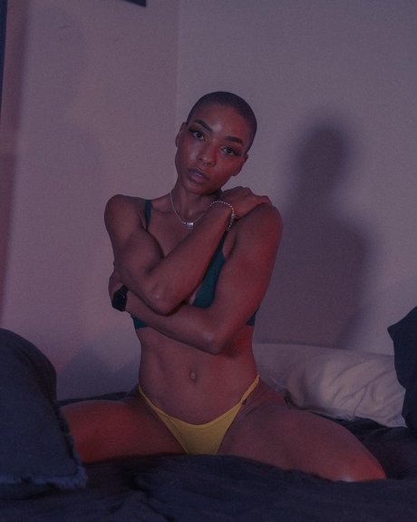 Frankiiy art étoile des photos