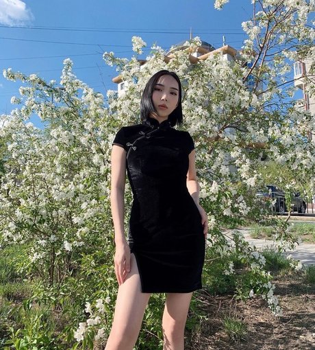 Ninja Vi jolie étoile des photos