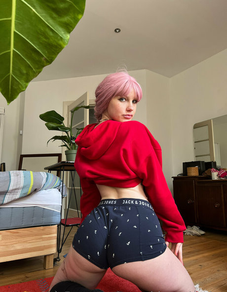 tweetylau top star images