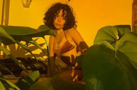 Gaiafaeye étoile de haute qualité des photos