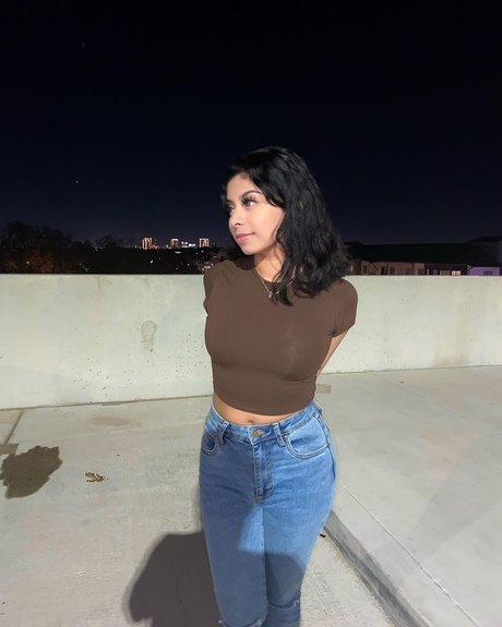 dayzevana étoile magnifique collection