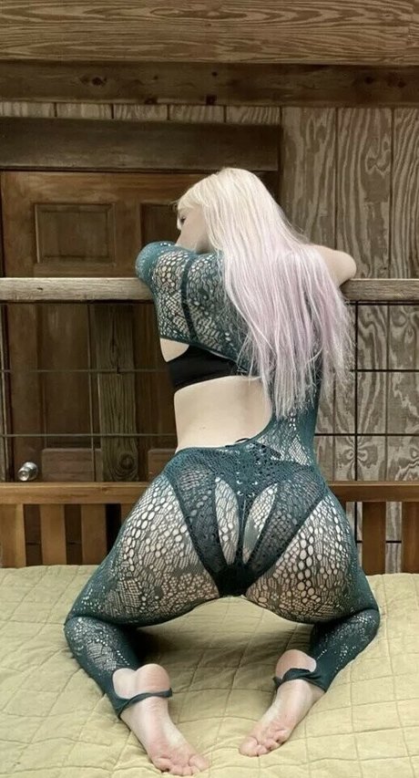 Taylorwould haut de star du porno img