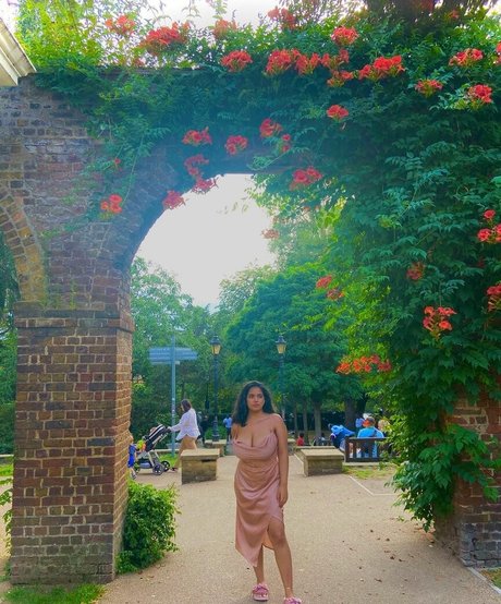 Boa Hancock haut de star du porno photo