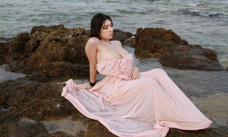 Doania étoile nue galeries