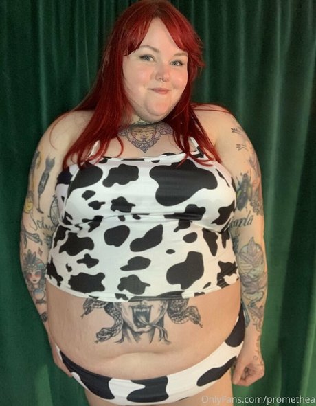 gisele bundtcake top star photos