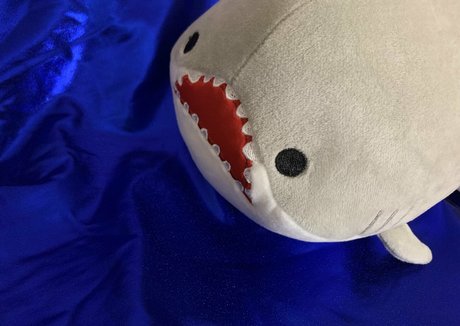 baby buns étoile sexy archive