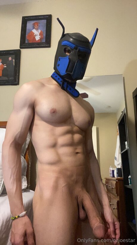 ozjoestar star du porno image