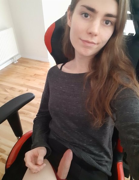 dovelark étoile galeries