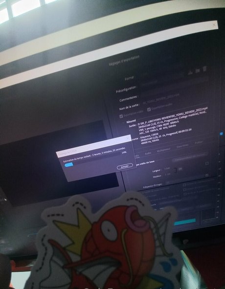 realneko tv jolie actrice collection