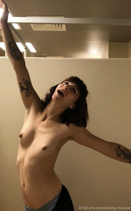 anony mousie actrice pornographique collection