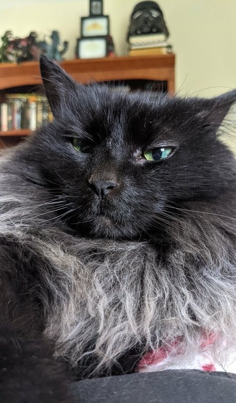 bunnyyojimbo modèle de sexe photos