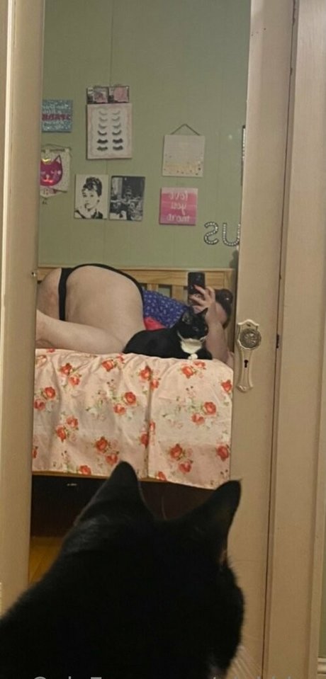 pinkbbw star du porno chaud photo