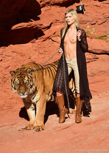 ashleysouthernbelle star du porno adulte img