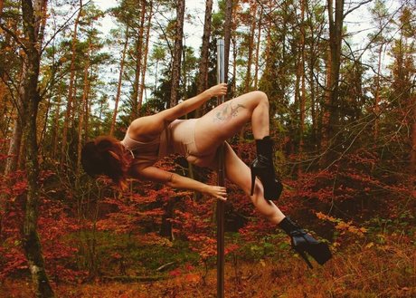 glazed donut nus étoiles galerie