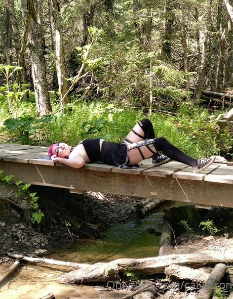 calvatron Profilfoto