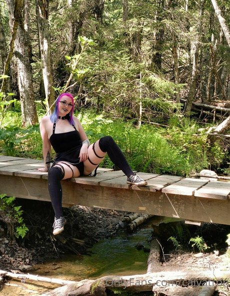 calvatron étoile parfaite galeries