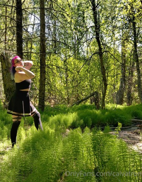 calvatron art star du porno collection