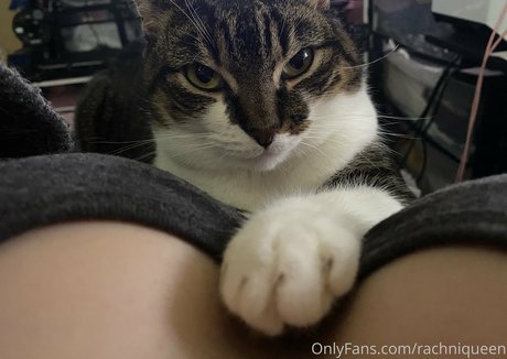 lisasayshello art star du porno collection