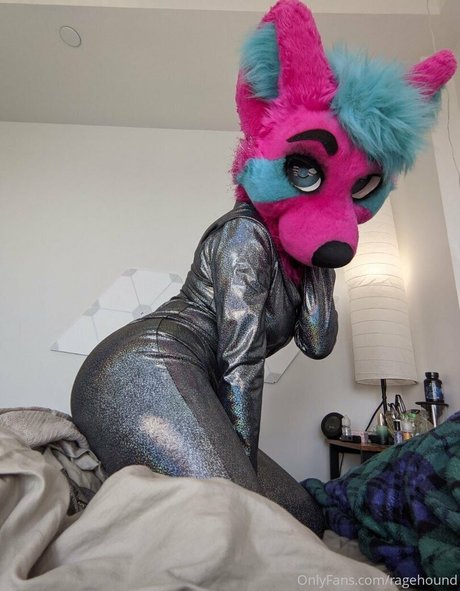 ragehound modèle nu archive