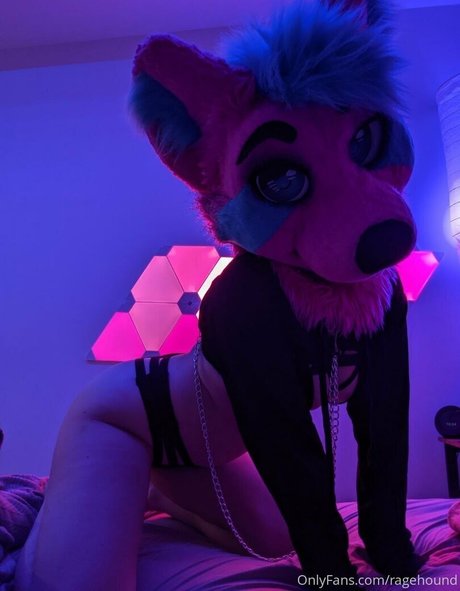 ragehound star du porno nue photo