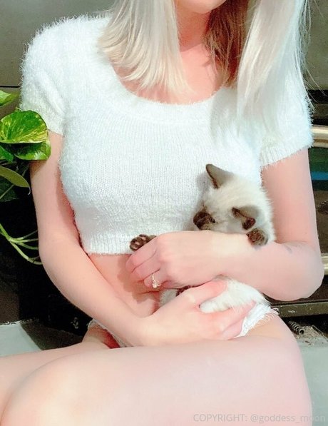 point de vue asiatique uniquementfans porno gratuit collection