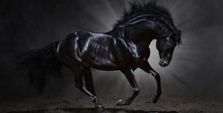 public xxx onlyfans chaud meilleur image