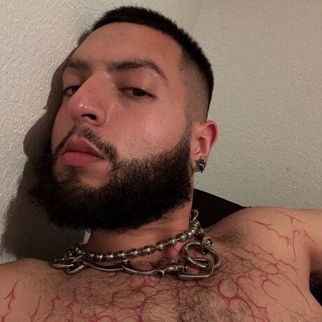 COCKB3NDER_ meilleure star du porno photos