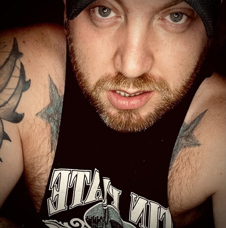 CANCELED nus de stars du porno image