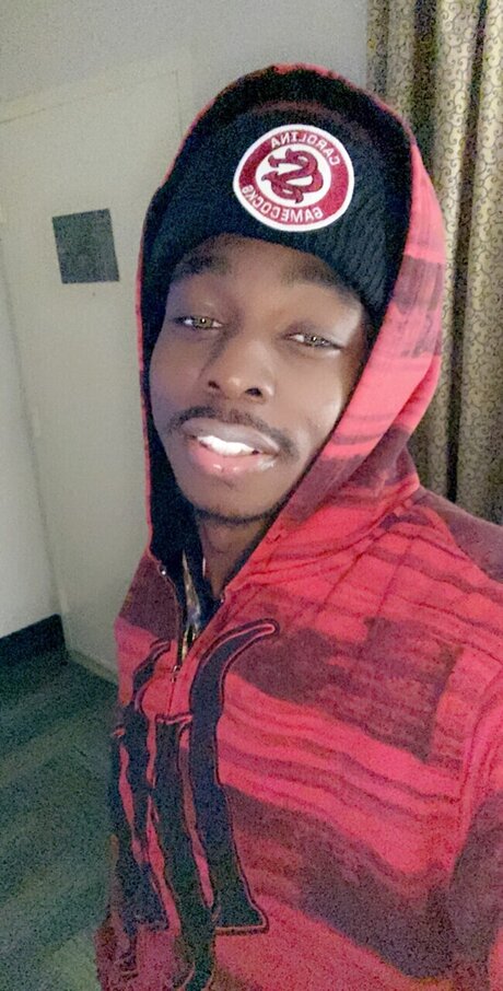 Marcoo art star du porno image