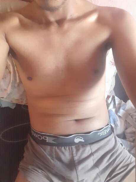 _no content_ modèle joli archive