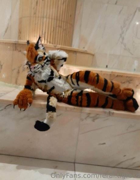 feral tigress étoile sympa galerie